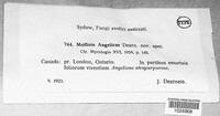 Image Associated With the Occurence